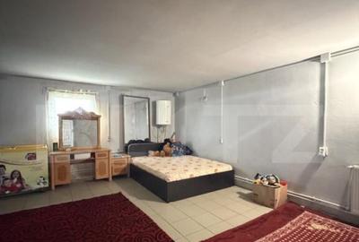 Teren intravilan agricol, sere, anexa agricola, 11500 mp ter - 2