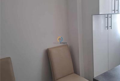 Garsonieră decomandată, mobilată în Teilor - 11