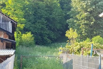 Teren de 7000 mp, în Ștubeie Tisa - 13