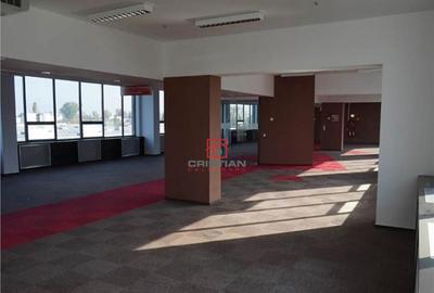 Spațiu comercial, de 4,000 mp, în Theodor Pallady