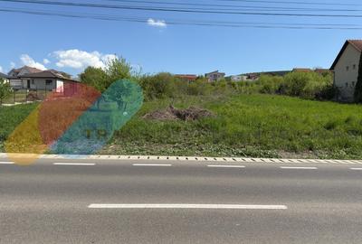 Teren construibil 628 mp - Intrare Chinteni - Casa individuala