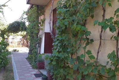 Vand casa plus dependin?a - 10