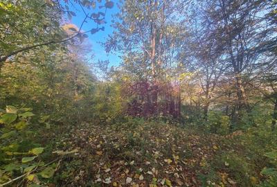 Teren intravilan de vanzare in Telega - 24