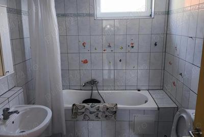 Vila + Afacere in Tomnatic - 6