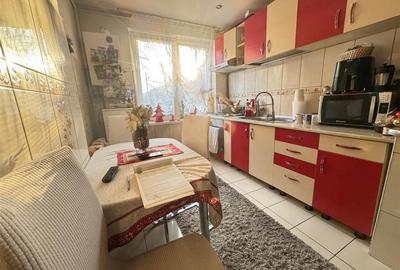 Apartament la ETAJUL 1 cu 2 camere in Terezian - 7