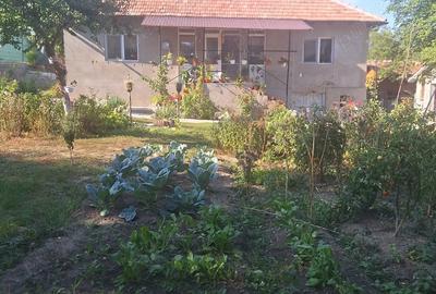 Casa de vanzare mobilata ?i utilata - 4