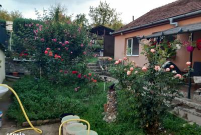 Casă cu 2 camere decomandat cu Teren 1134 Mp în Central