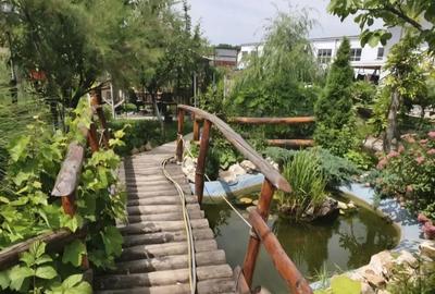 Casă cu 5 camere cu Teren 450 Mp în Mărăcineanu - 15