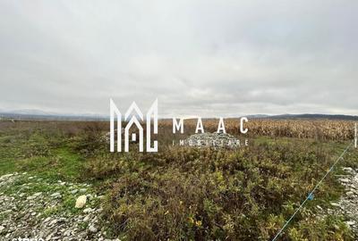 Spațiu comercial, în Bradu - 9
