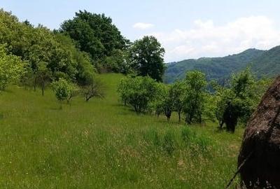 Casă individuală cu 3 camere cu Teren 15554 Mp în Central - 3