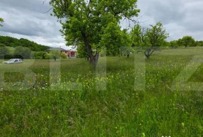 Teren de 3400 mp, în Central - 7