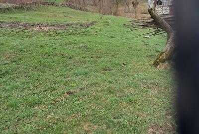 Spațiu comercial, în Teșila - 1