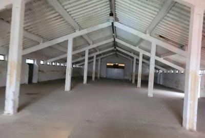 Hale de inchiriat - 1200m2 pana la 7200m2 Teiu Jud Hunedoara langa autostrada - 2