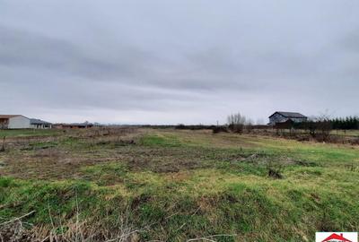 Teren intravilan 12216 mp in Vetis construibil - 4