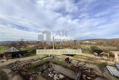 Pensiune 6 camere, teren 12713 mp, Dealul Mare, Urlati, Prah - 2