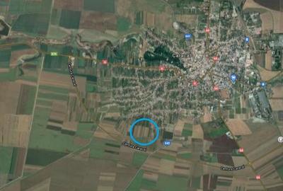 Teren agricol extravilan de 3585 mp, în Caracal - 1