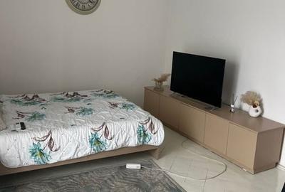 Apartament cu 2 camere decomandat, mobilat în Drumul Taberei - 3
