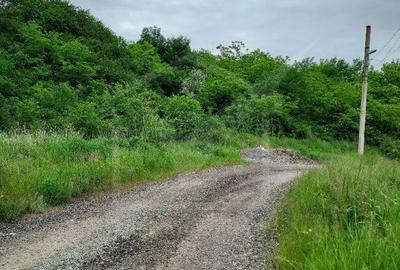 Teren de 1000 mp, în Jucu - 3