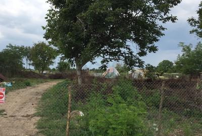 Teren agricol intravilan de 875 mp, în Ciolpani - 1