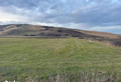 Teren de 6000 mp, în Cojocna - 5