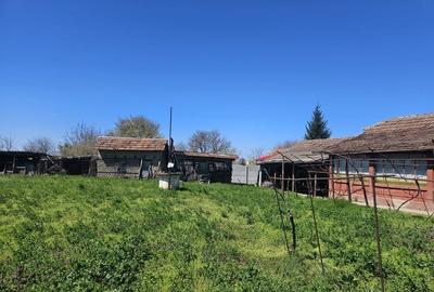 Casă cu 4 camere în Goicea - 2