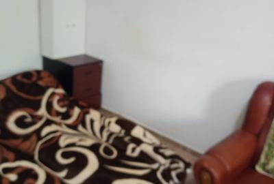 Garsonieră semidecomandată în Doamna Ghica - 4