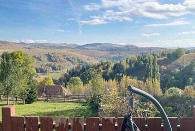 Cabana cu 4 dormitoare, foisor, ciubar, Statiunea Muntele Baisorii - 1