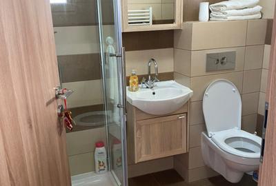 Casa de inchiriat Sibiu, Market Dominik, Promenada Mall - 3