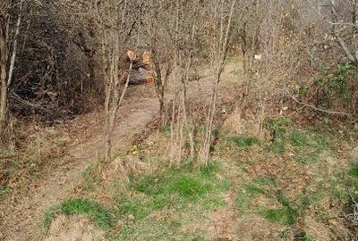 Vand teren intravilan livada - 1