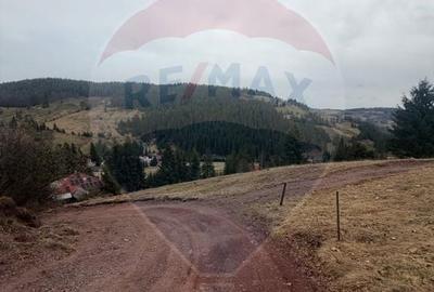 Teren Construcții intravilan de 6500 mp, în Arieșeni - 15