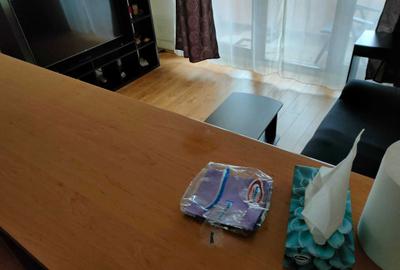 Apartament cu 2 camere decomandat în Ștrand - 2