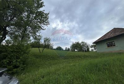 Teren 2,000mp Copalnic-Manastur / Strada Principala - 5