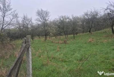 Teren în Groși - 2
