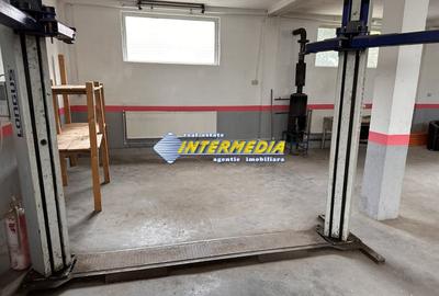 Spațiu industrial, de 115 mp, în Cetate - 14