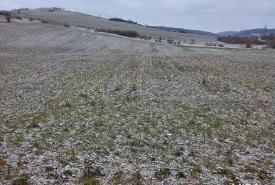 Teren de 5450 mp, în Vânători - 1