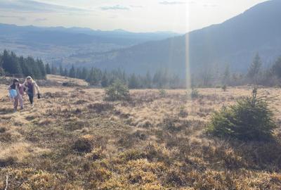 Spațiu comercial, în Roșu - 1