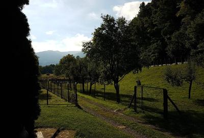 Teren agricol intravilan de 2400 mp, în Ibănești - 2