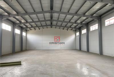 Depozit/hala/spatiu industrial Theodor Pallady - Drumul Int - 3