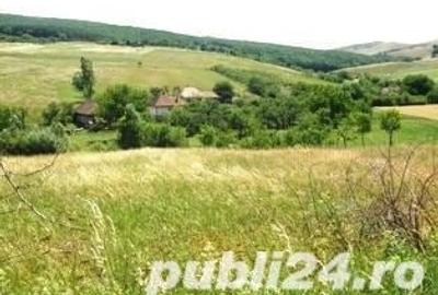 Teren de 6825 mp, în Ortelec - 1