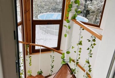 Spatiu comercial/de birouri elegant pentru afacerea ta, Brestei-zona Obedeanu - 2