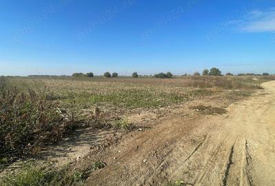 Teren de 2400 mp, în Șag - 2