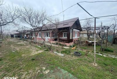 Casă cu 4 camere cu Teren 1300 Mp în Nuci - 8
