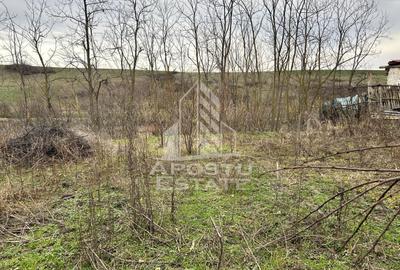 Teren 1942 mp, ideal casa de vacanta, alte activitati, Herneacova. - 5