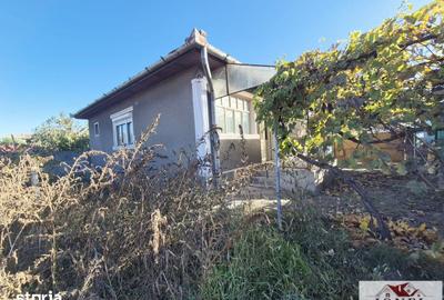 Casă cu 3 camere cu Teren 449 Mp în Teiu - 2
