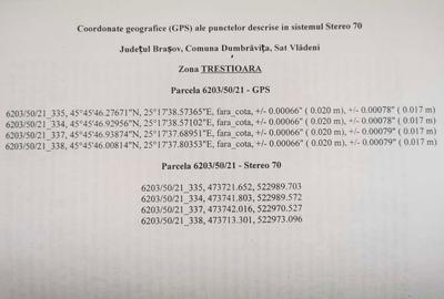 Spațiu comercial, în Vlădeni - 5