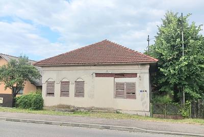 Brebu Megiesesc, casa + teren - 8