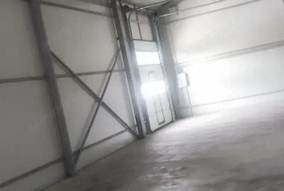 Hala noua Bragadiru 290 mp - 7