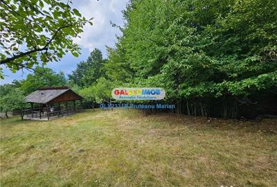 Teren de 2700 mp, în Curtea de Argeș - 3