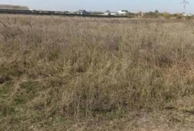 Teren de 5000 mp, în Central