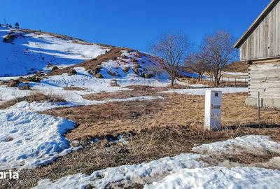 Teren de 3756 mp, în Fundata - 9